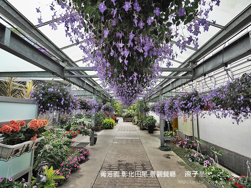 菁芳園 彰化田尾 景觀餐廳