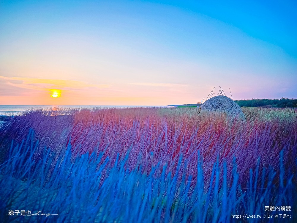 台南景點 七彩同心圓迷宮 ig打卡 開江紀 台江國家公園 鹿耳門 台南地景藝術 台江建庄二百年
