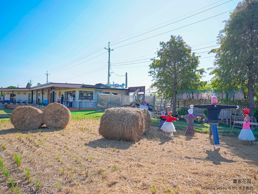 董家花田 菜單 門票 景點 彰化景點 田尾景觀餐廳 花海 戶外野餐 咖啡 交通