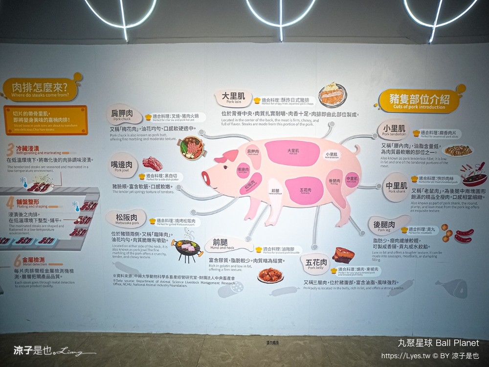 丸聚星球 嘉義觀光工廠 親子景點 嘉楠食品 大林景點 貢丸 親子diy 嘉義雨天景點 室內景點 大林必玩 ball planet