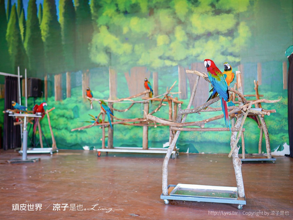 頑皮世界野生動物園攻略 門票優惠 台南親子景點 南台灣動物園 水豚君 長頸鹿 遊樂設施 戲水池