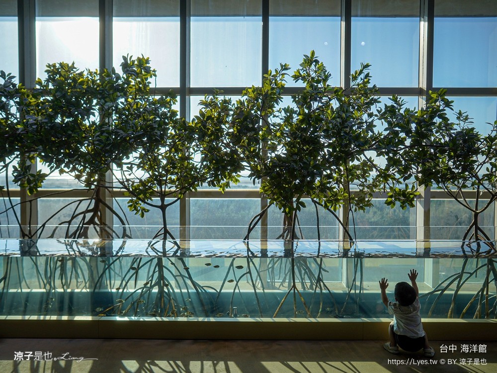 台中海洋館 門票優惠 交通 八大展區 免費票 台中親子景點 台中景點推薦 懶人包 攻略 必看特色