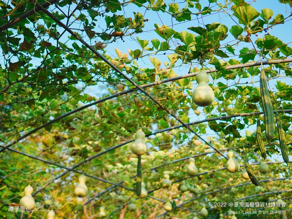 2022中臺灣 氣墊遊戲區 溜滑梯戲水池 農產品展售 美食小吃