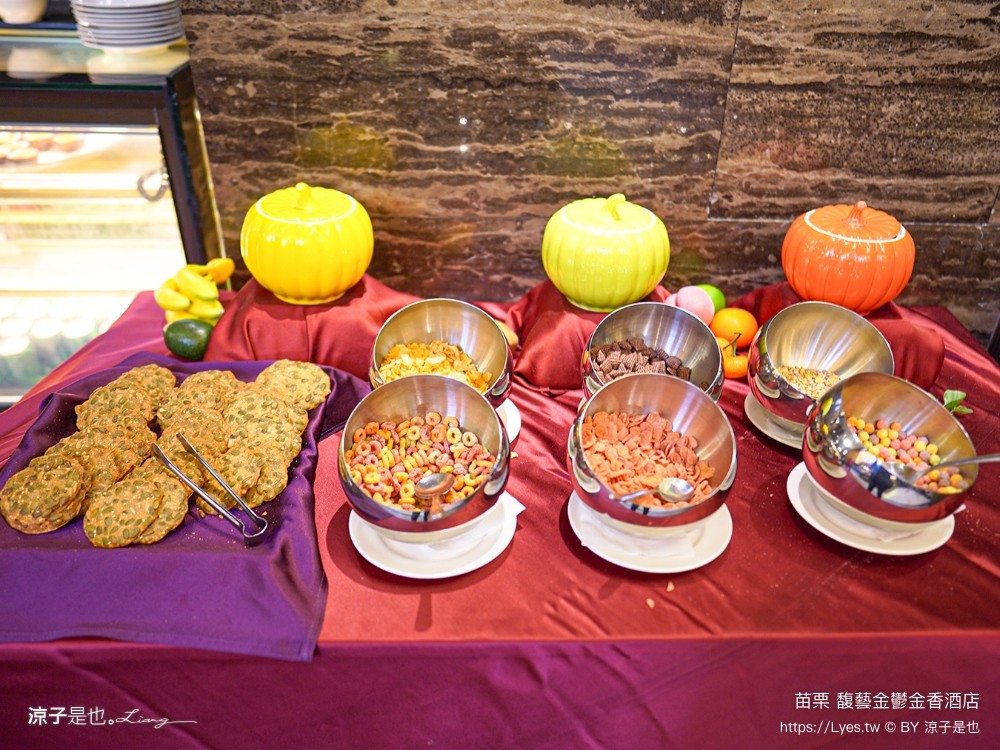 馥藝金鬱金香酒店 苗栗住宿推薦 苗栗親子飯店 早餐 兒童遊戲室 苗栗旅遊 房型介紹