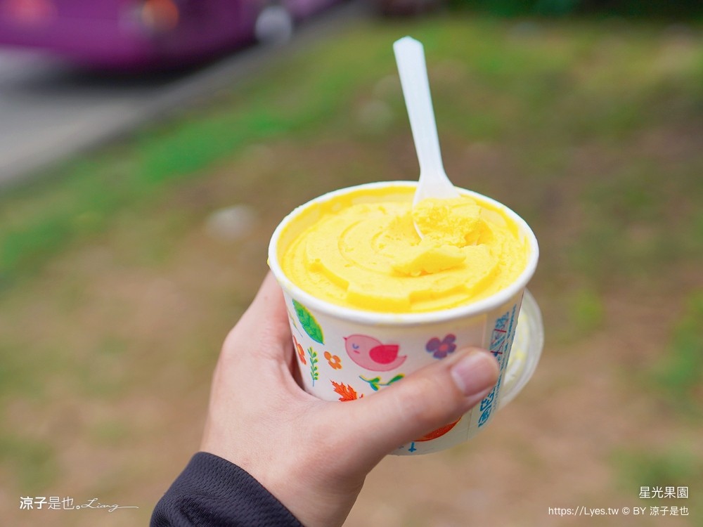 星光 親子景點 免費採果活動 台南農場 台南露營 diy 採芒果體驗 自然的鬥士