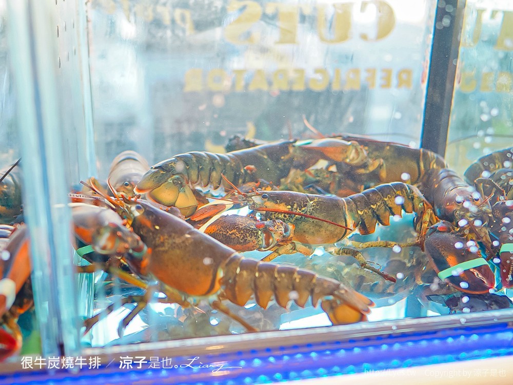 很牛炭燒牛排 菜單 埔里美食 平價牛排餐廳推薦 CP值 溼式熟成 直火炭烤 訂位 南投