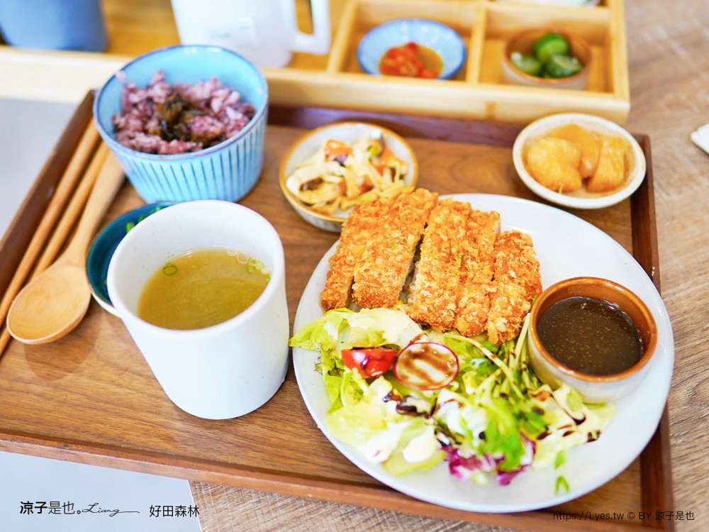 好田森林 菜單 門票 彰化田尾 親子餐廳 親子樂園 恐龍森林 滑草 野餐 玩沙 卡丁車 彰化景點 空中卡丁車