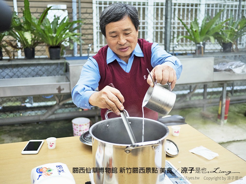 關西仙草博物館 新竹關西景點 美食