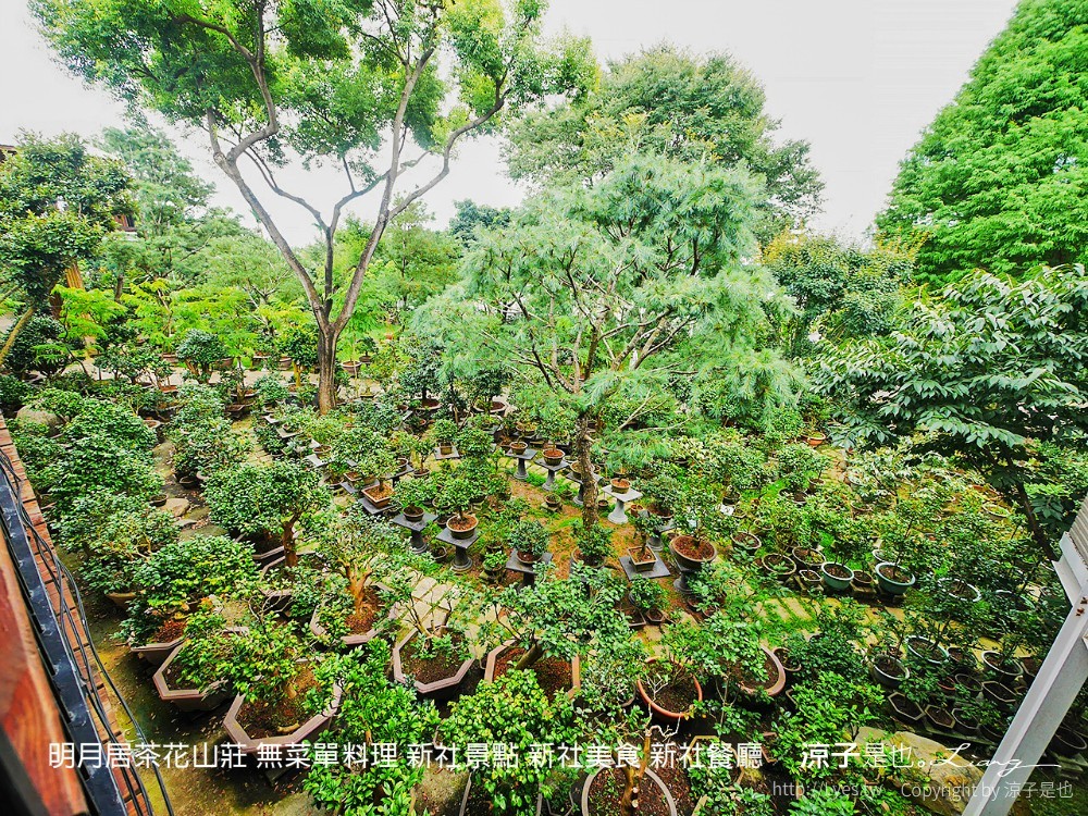 明月居茶花山莊 無菜單料理 新社景點 新社美食 新社餐廳