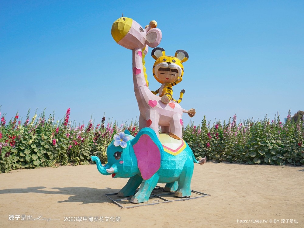 學甲蜀葵花文化節 2023 蜀葵花季 一丈紅迷宮 紫色鼠尾草 季節 花況 交通 學甲景點