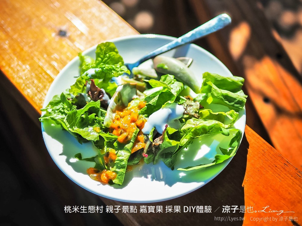 桃米生態村 南投埔里 親子景點 嘉寶果 採果 diy體驗