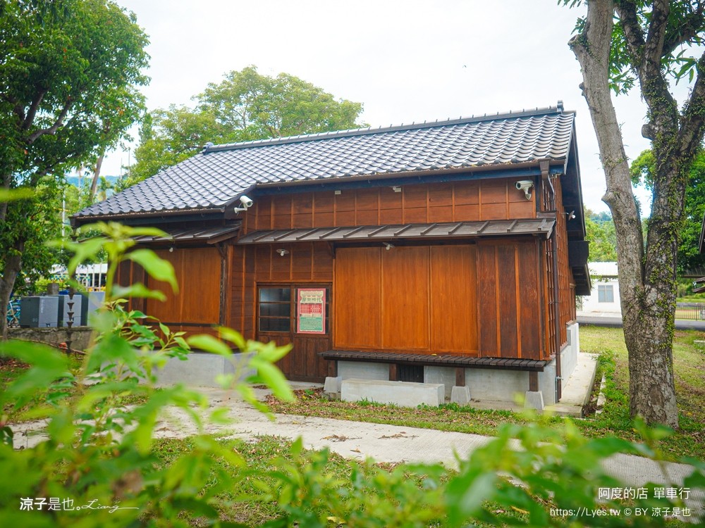 阿度的店 台東景點 鹿野 租車 電動單車遊 綠色隧道 躺馬路 體驗 自行車