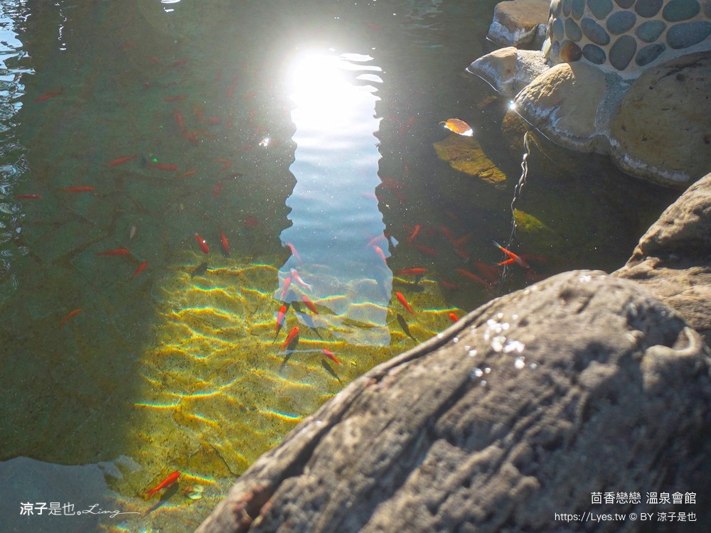 四重溪 茴香戀戀溫泉會館 屏東 溫泉住宿推薦 湯屋愛 水療spa池 露天風呂 大眾溫泉池