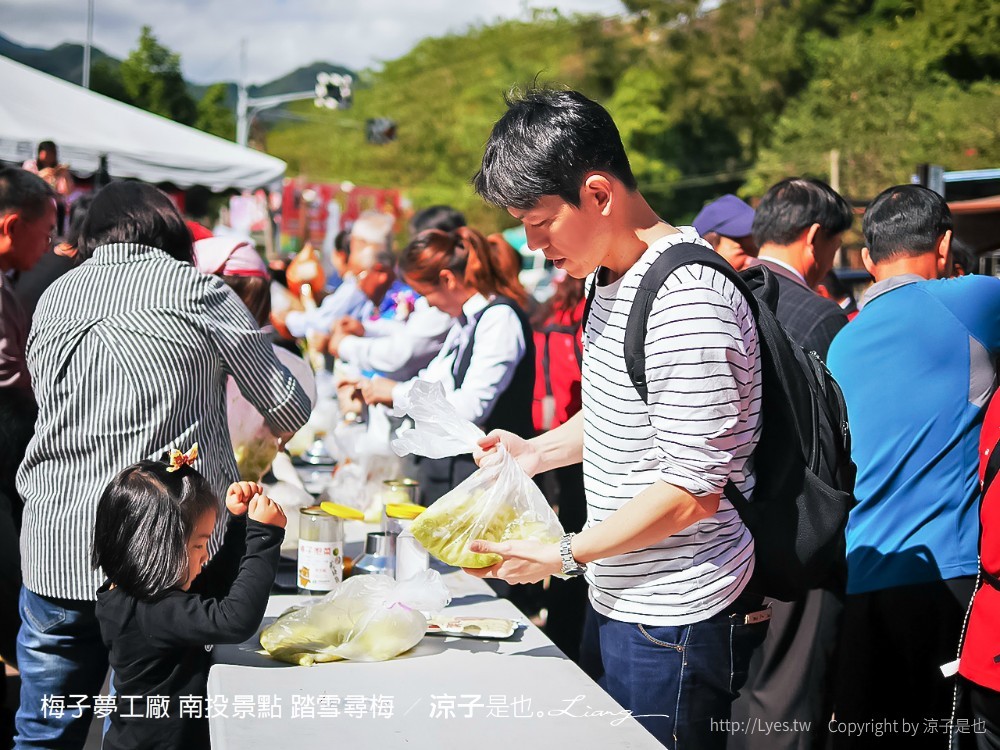 梅子夢工廠 南投景點 踏雪尋梅