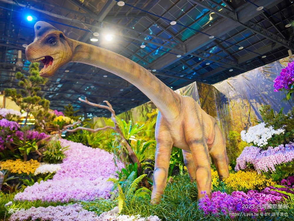 台灣國際蘭展 門票 2023時間 台南景點 魔境 恐龍 親子diy 必看亮點 台南限定蘭花