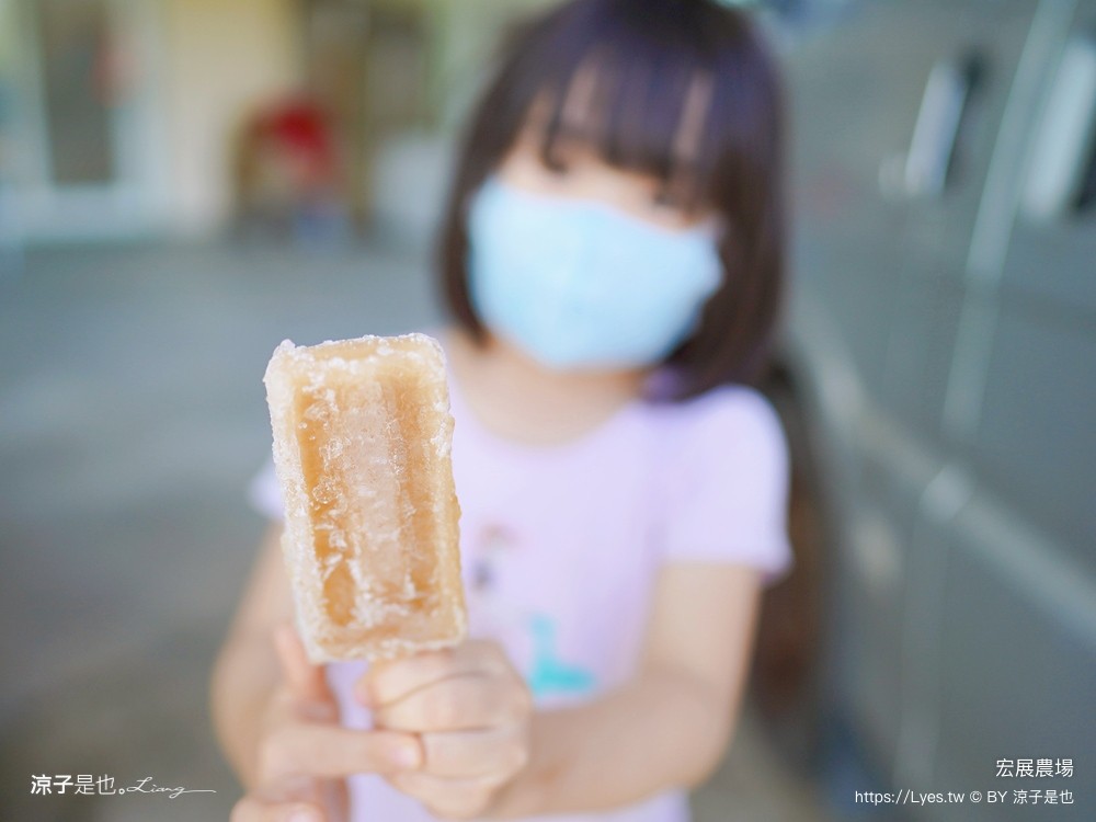 宏展農場 嘉義布袋一日遊 親子景點 美食小吃 伴手禮 布袋住宿 行程推薦 高跟鞋教堂