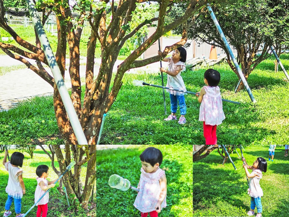 埔里景點-果寶歡酵觀光農場 親子採嘉寶果x樹葡萄果醬DIYx品嚐百香果沙拉 桃米生態村親子體驗好好玩