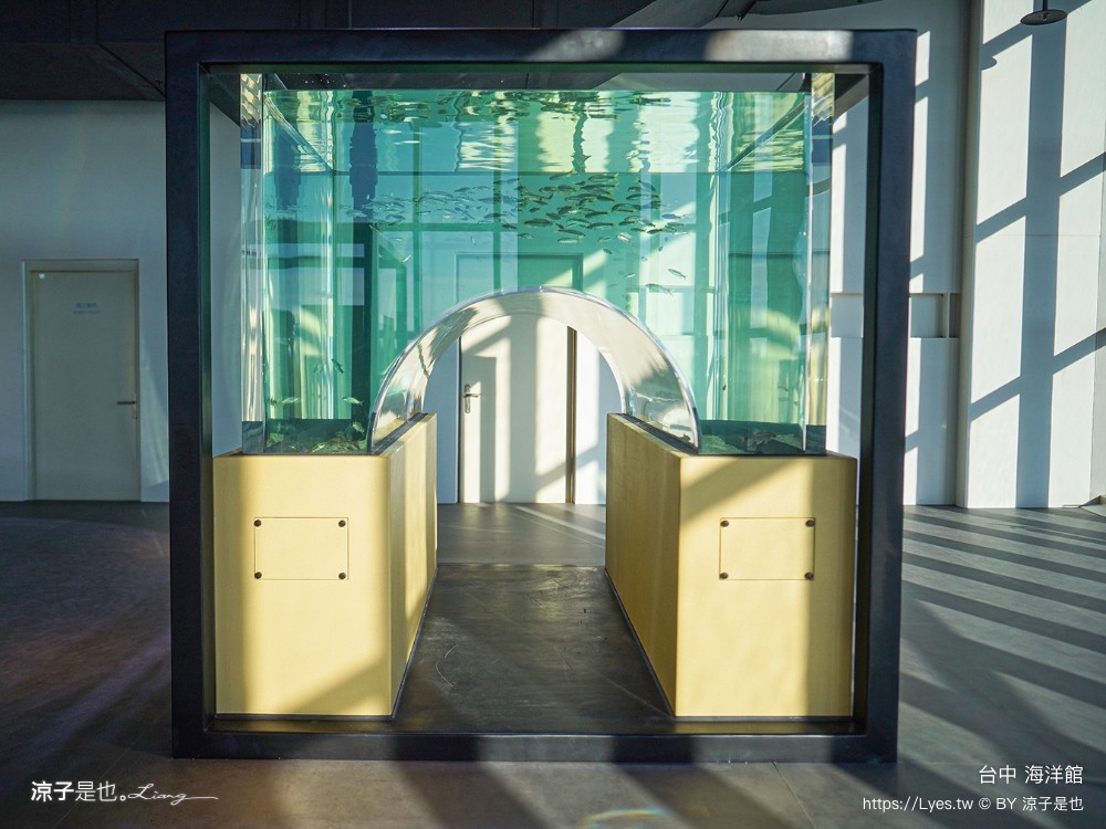 台中海洋館 門票優惠 交通 八大展區 免費票 台中親子景點 台中景點推薦 懶人包 攻略 必看特色