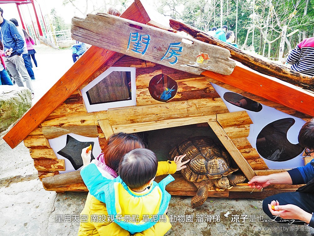 星月天空 南投親子景點 草泥馬 動物園 溜滑梯