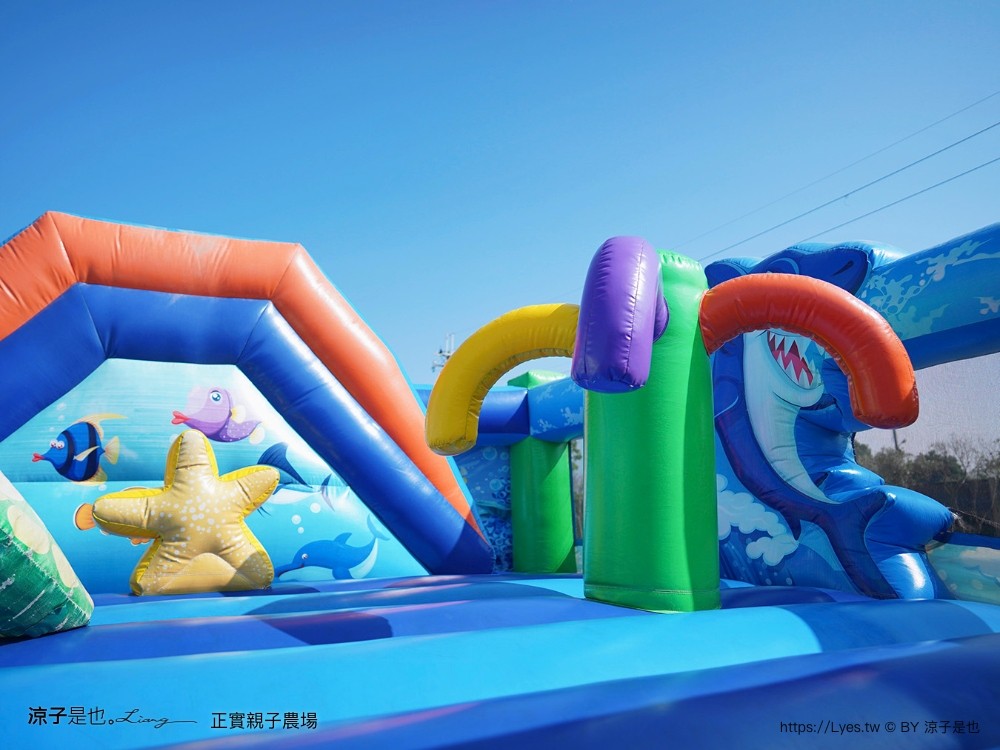 正實親子農場 門票 彰化 親子景點 撿雞蛋 氣墊樂園 溜滑梯 免費 餵小動物體驗 沙坑