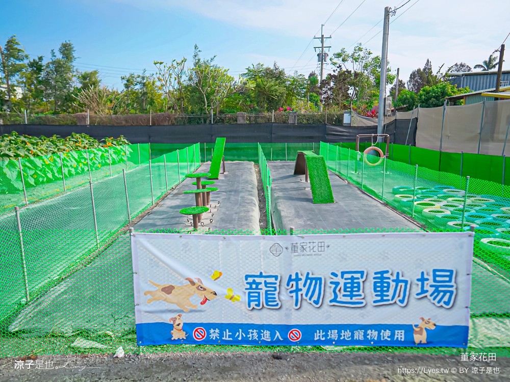 董家花田 菜單 門票 景點 彰化景點 田尾景觀餐廳 花海 戶外野餐 咖啡 交通