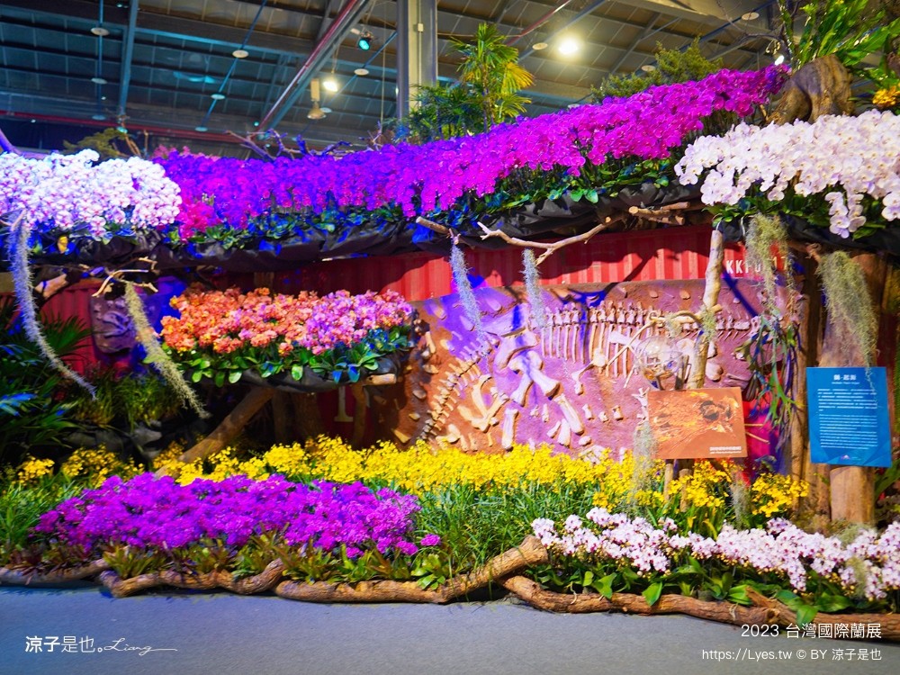 台灣國際蘭展 門票 2023時間 台南景點 魔境 恐龍 親子diy 必看亮點 台南限定蘭花
