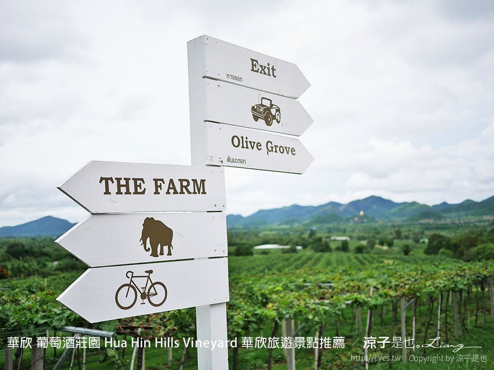 華欣 葡萄酒莊園 Hua Hin Hills Vineyard 華欣旅遊景點推薦