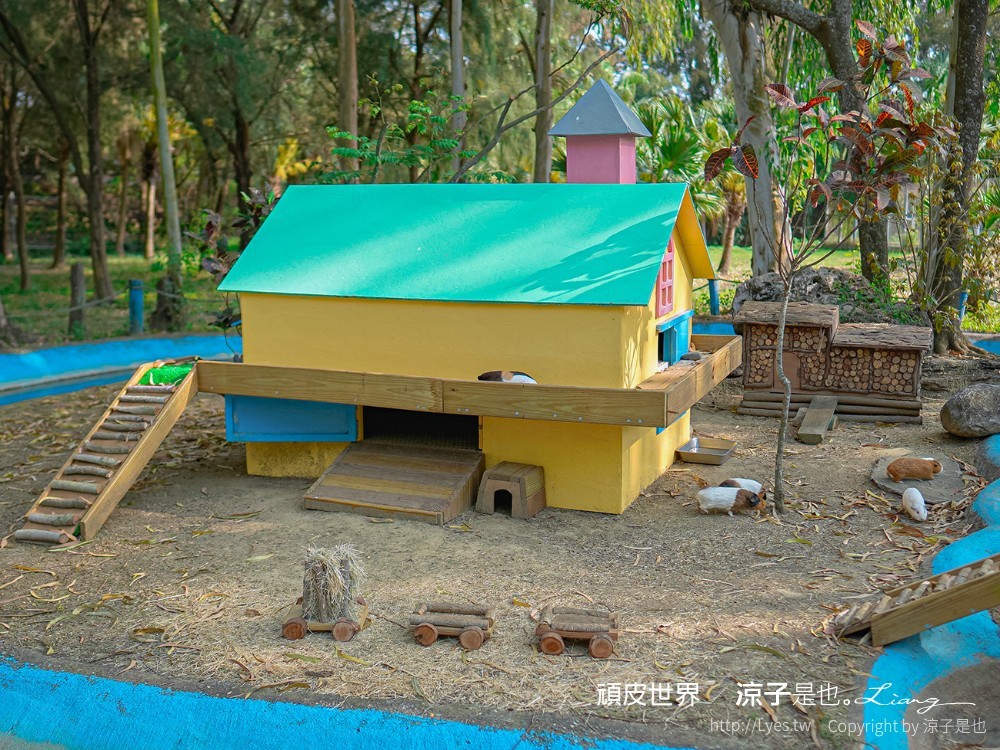 頑皮世界野生動物園攻略 門票優惠 台南親子景點 南台灣動物園 水豚君 長頸鹿 遊樂設施 戲水池