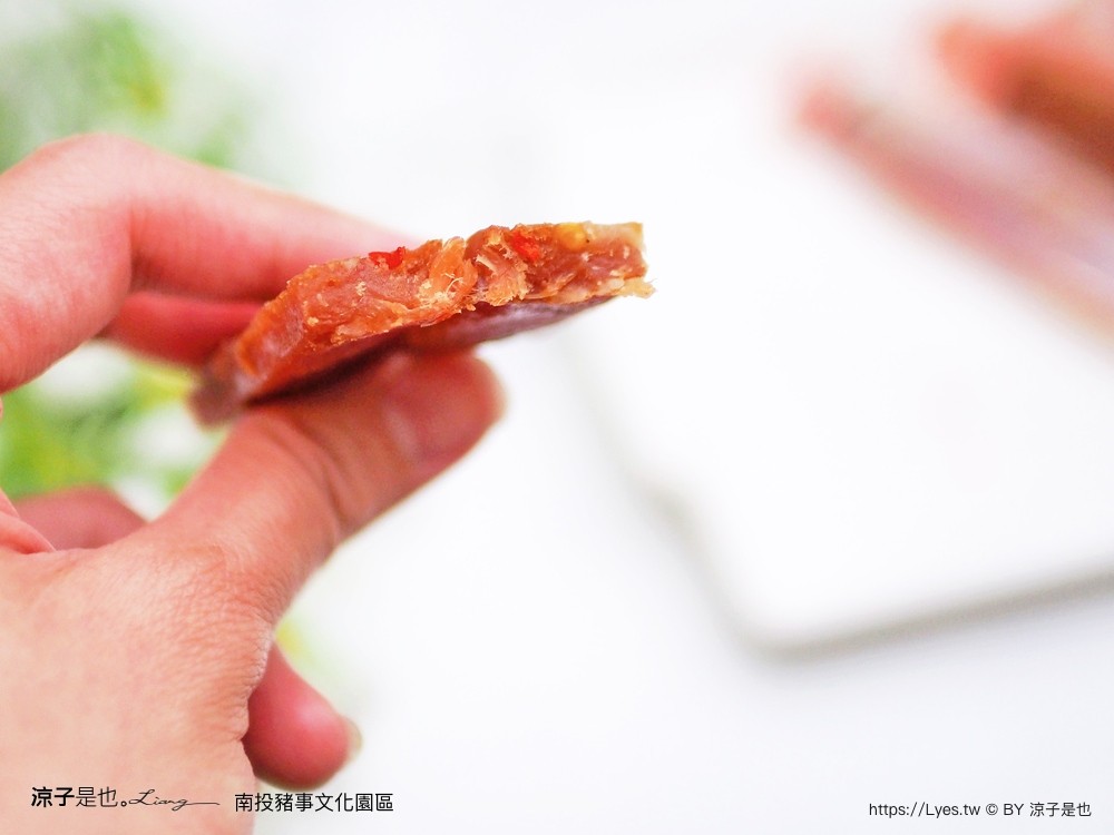 南投名間親子生態園區 南投親子公園 彩虹溜滑梯 盪鞦韆 免門票親子景點 野餐 天空步道 2022重新開幕