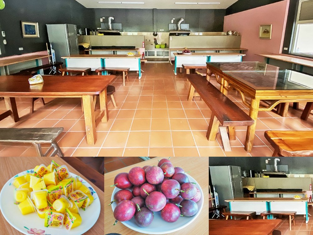 埔里住宿-綠窩綠舍民宿 桃米生態村平價民宿 晚上有賞蛙導覽活動 親子也好玩