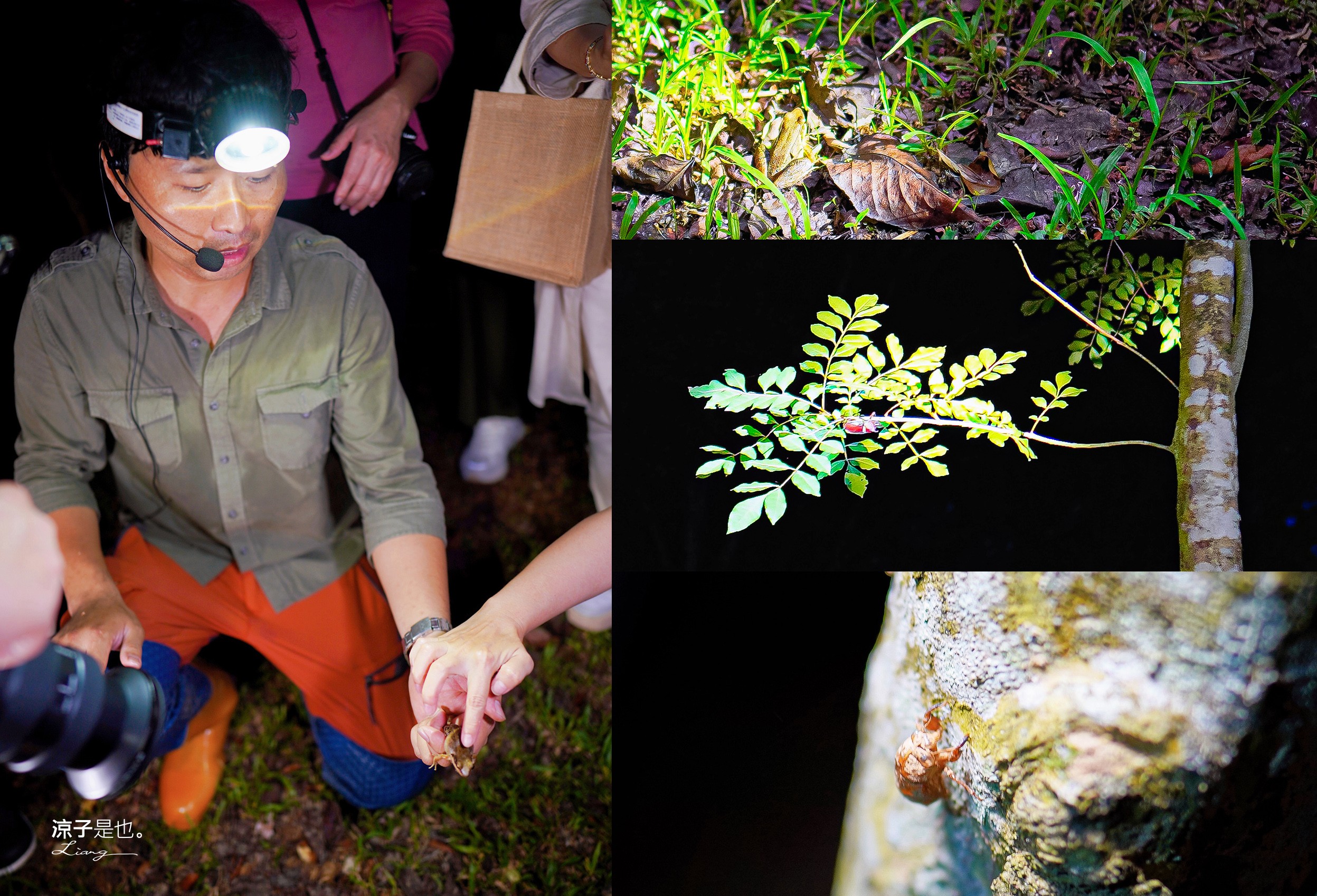 埔里住宿 水泥角生態民宿 南投埔里民宿 包棟民宿 生態導覽 房型 早餐 晚餐 桃米親水公園住宿 一泊二食