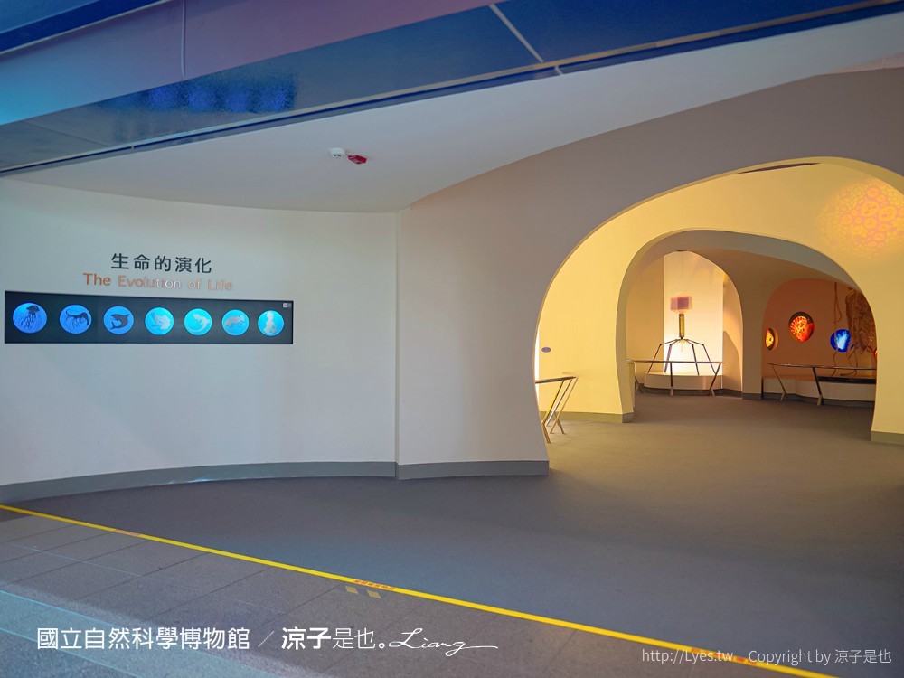 台中科博館 台中室內親子景點 國立自然科學博物館 線上購票 交通 美食 恐龍侏儸紀公園 iCoBo 手機app i科博