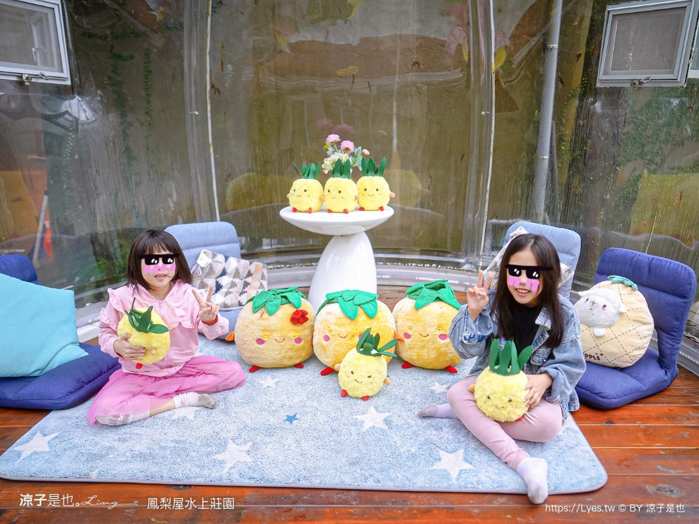 鳳梨屋水上莊園 宜蘭景點 一日遊 鳳梨屋門票 戲水池 動物園 水豚君 網美景點 水簾鞦韆 鳳梨泳池 餵羊 宜蘭豪華懶人露營 Villa 網美景點