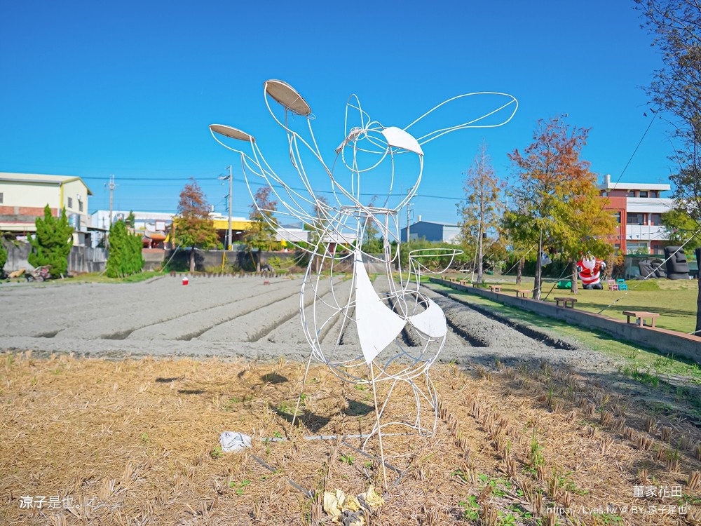 董家花田 菜單 門票 景點 彰化景點 田尾景觀餐廳 花海 戶外野餐 咖啡 交通