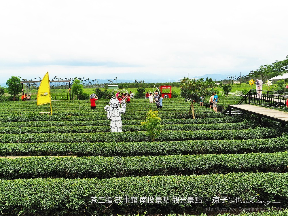 茶二指 故事館 南投景點 觀光景點