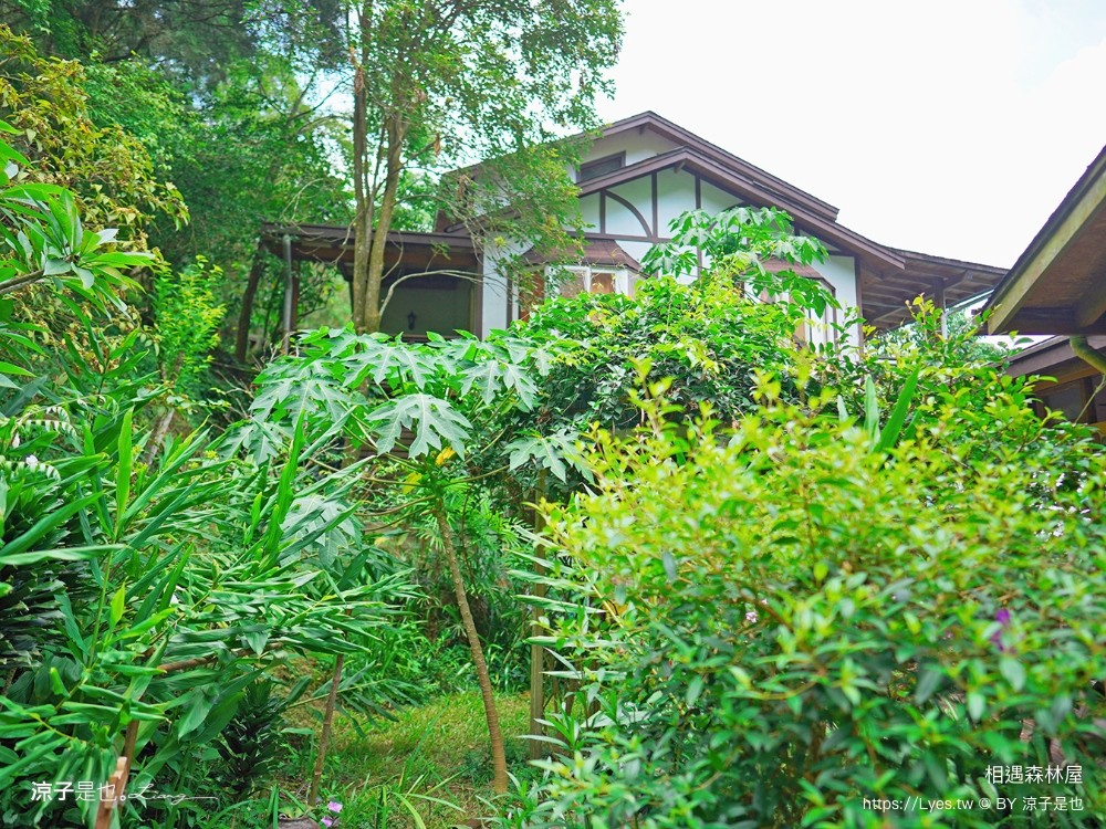 相遇森林屋 菜單 苗栗南庄景點 苗栗景觀餐廳 苗栗景點 森林系 南庄咖啡館 童話屋秘境 苗栗景點 森林系 南庄咖啡館 童話屋秘境