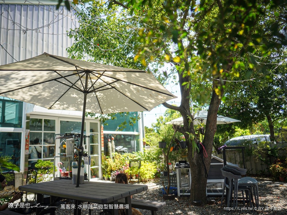 萬客來水耕蔬菜微型智慧農場 菜單 台南餐廳 台南美食 玻璃屋餐廳 台南景觀餐廳 早午餐