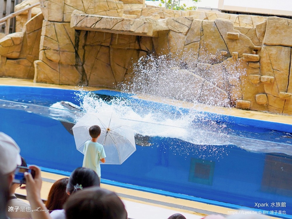 xpark水族館 門票優惠 桃園 親子景點 最新攻略 必看展區 美食餐廳 交通 停車 住宿