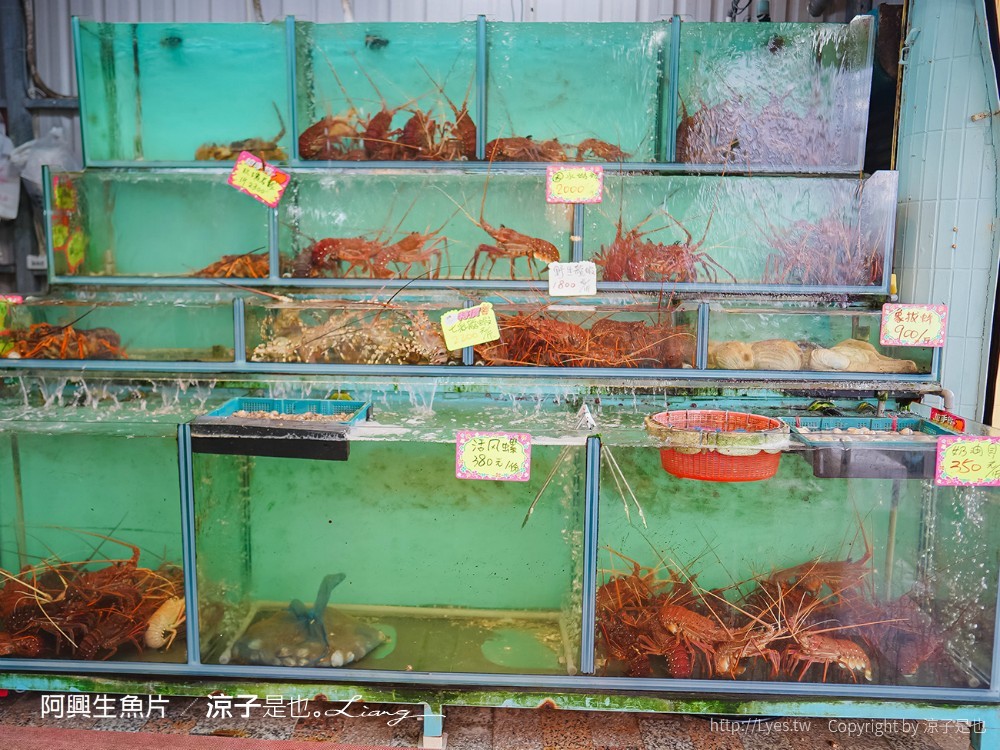 阿興生魚片 菜單 屏東墾丁必吃 後壁湖海鮮美食 餐廳 新鮮生魚片 CP值