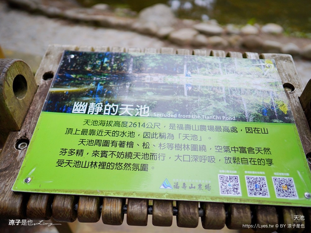 天池 福壽山農場 台中和平景點 達觀亭 鏡面天池 梨山景點 福壽山農場 台中和平景點 達 梨山景點