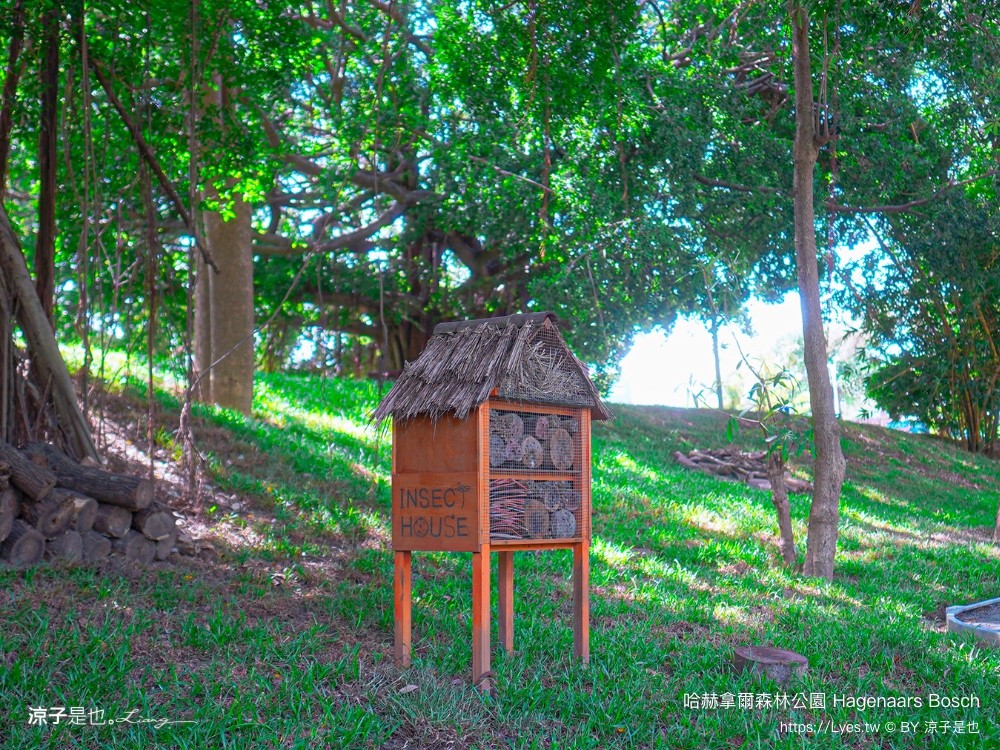 哈赫拿爾森林公園 台南景點 最新公園 森林秘境 開放時間 綠化 生態公園 交通 親子 hagenaars bosch