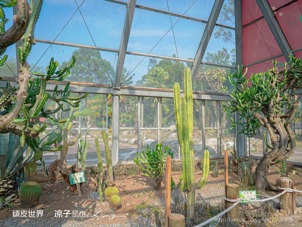 頑皮世界野生動物園攻略 門票優惠 台南親子景點 南台灣動物園 水豚君 長頸鹿 遊樂設施 戲水池