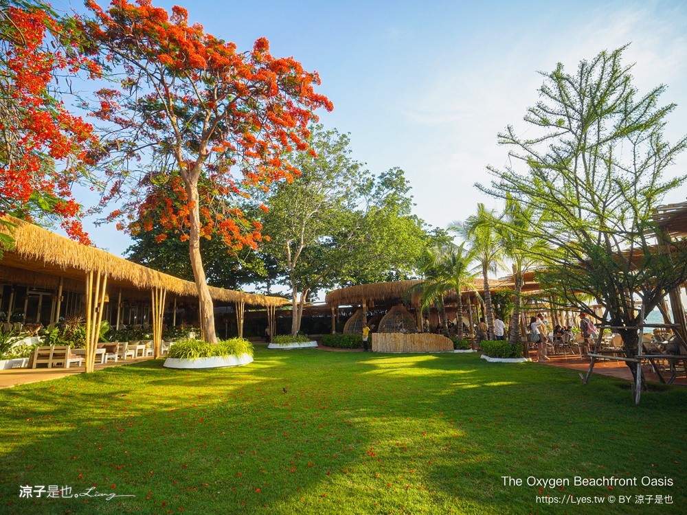 The Oxygen Beachfront Oasis 芭達雅 海景餐廳 芭達雅景觀餐廳 Phuket Restaurant 泰國景點