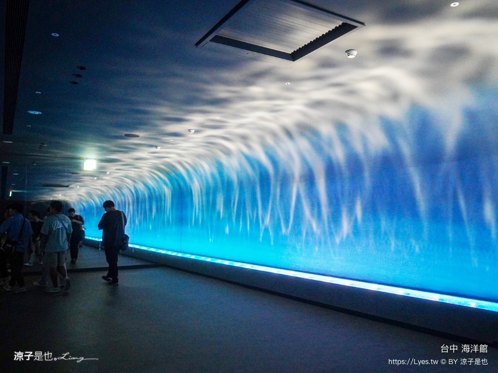 台中海洋館 門票優惠 交通 八大展區 免費票 台中親子景點 台中景點推薦 懶人包 攻略 必看特色