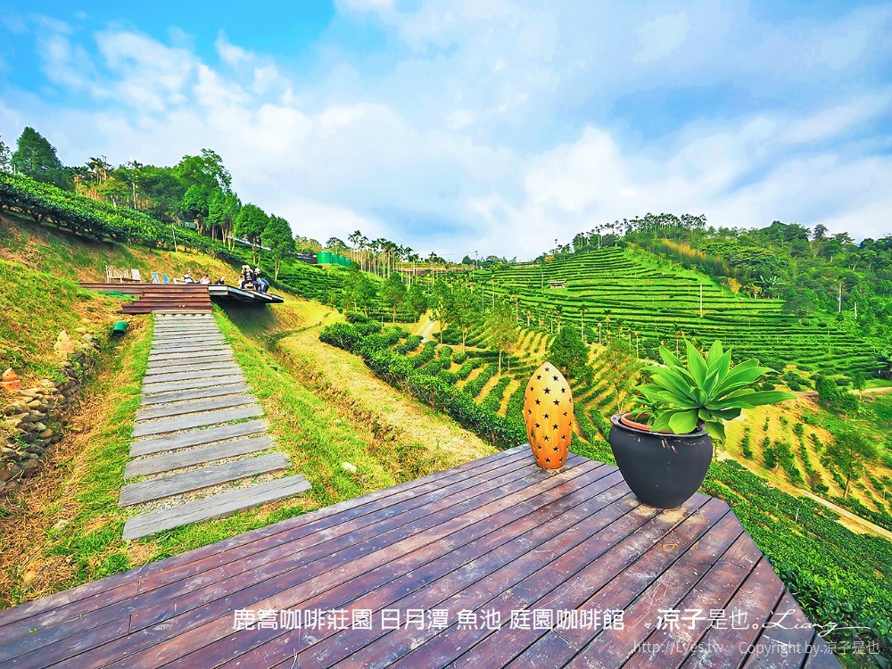 鹿篙咖啡莊園 日月潭 魚池 庭園咖啡館