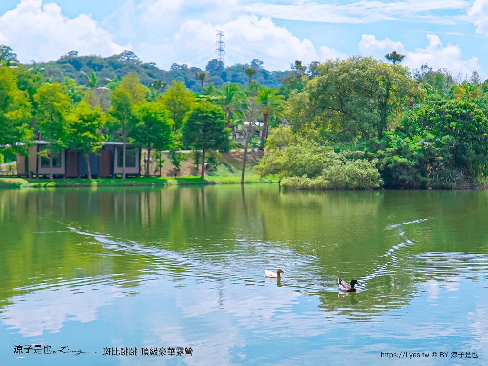 斑比跳跳 苗栗住宿 三灣棕櫚灣 頂級豪華 苗栗親子景點 露營車房型 價位優惠 評價