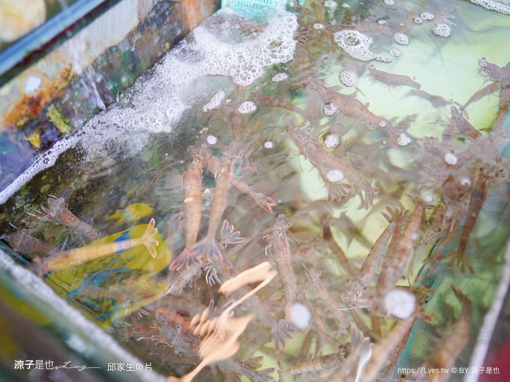 後壁湖邱家生魚片 菜單 屏東美食 墾丁必吃 百元生魚片 屏東海鮮餐廳 人氣排隊IG打卡