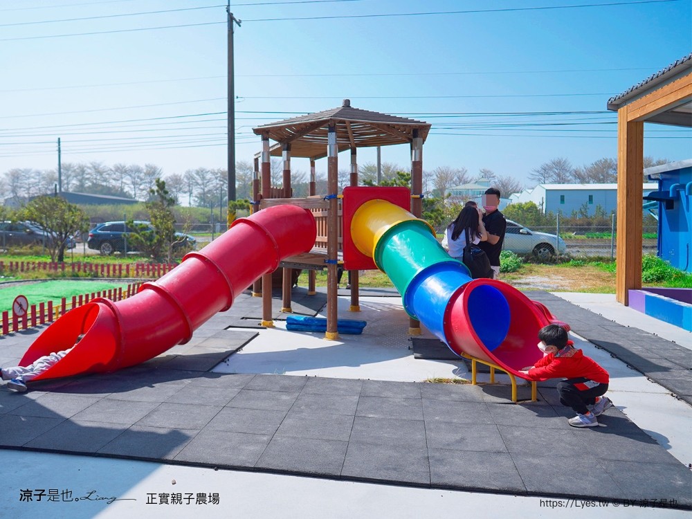 正實親子農場 門票 彰化 親子景點 撿雞蛋 氣墊樂園 溜滑梯 免費 餵小動物體驗 沙坑