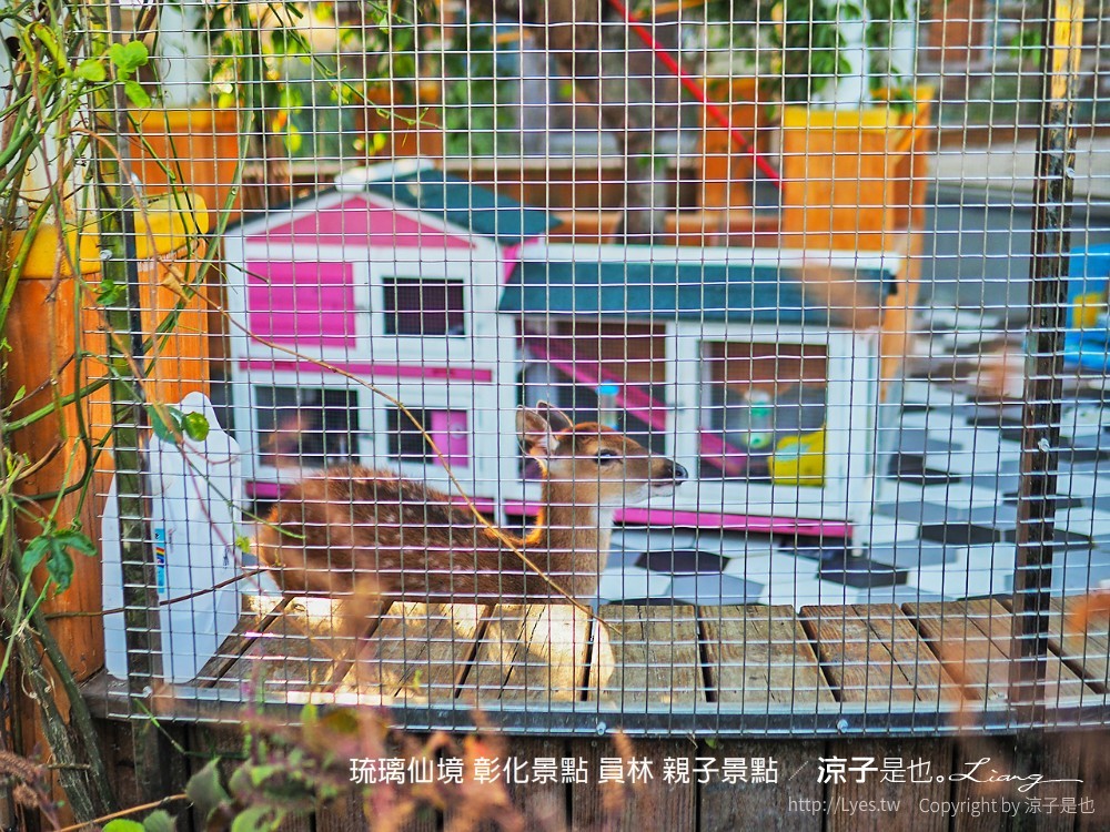 琉璃仙境 彰化景點 員林 親子景點