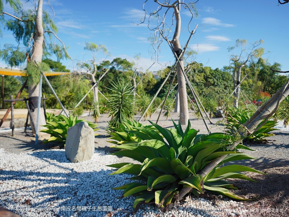 南投名間親子生態園區 南投親子公園 彩虹溜滑梯 盪鞦韆 免門票親子景點 野餐 天空步道 重新開幕